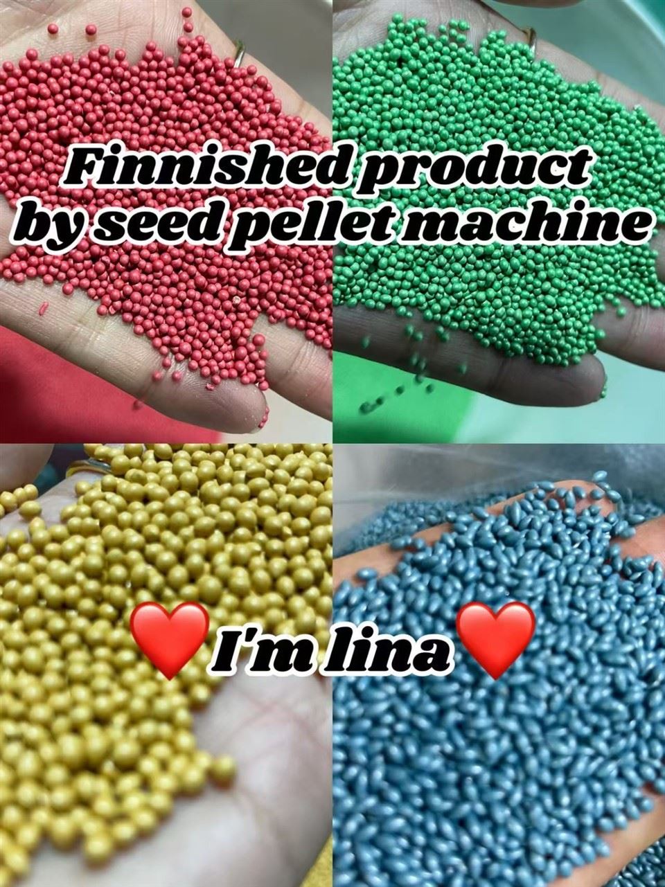 Onion Seed Pelleting Machine factory