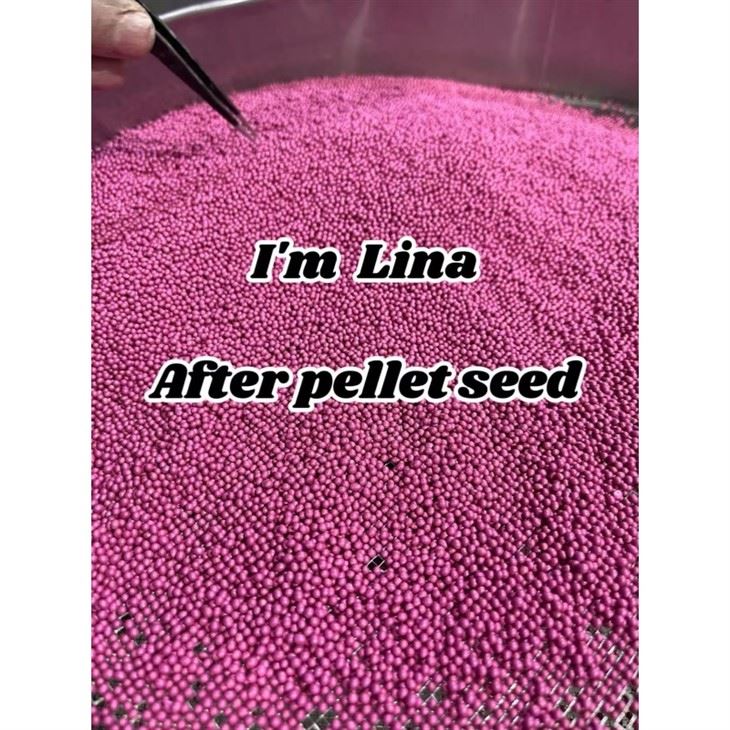 Onion Seed Pelleting Machine suppliers